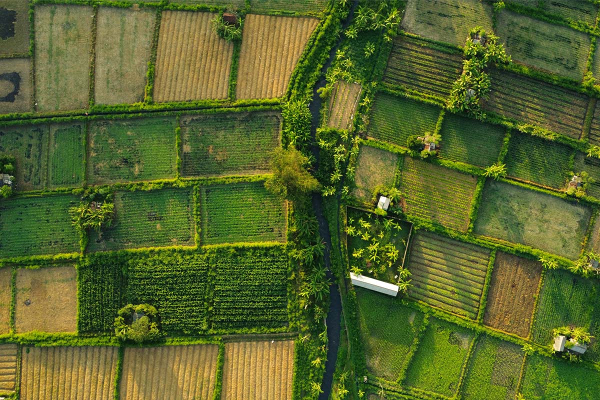 heptacreatives_sector_8